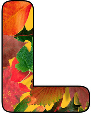 Herbstbuchstabe-5-L.jpg